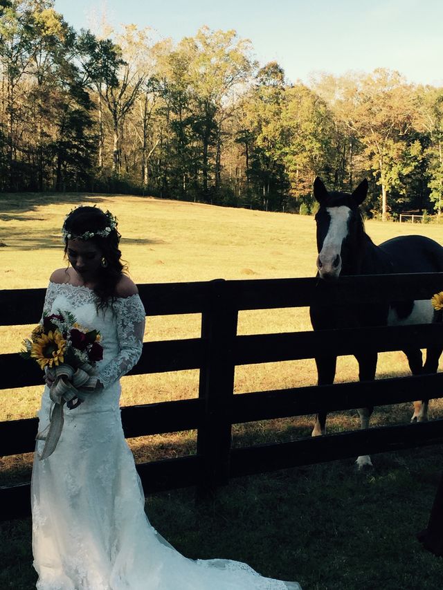 Beautiful bride on her wedding day at the ranch in the country with pretty horse.