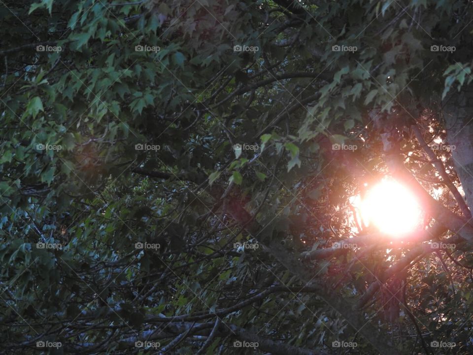 Sunshine in my eyes makes me happy