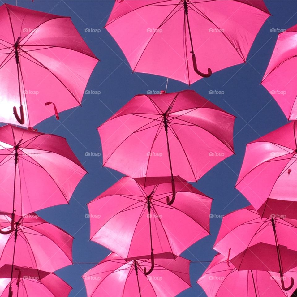 Pink umbrellas hanging from rope