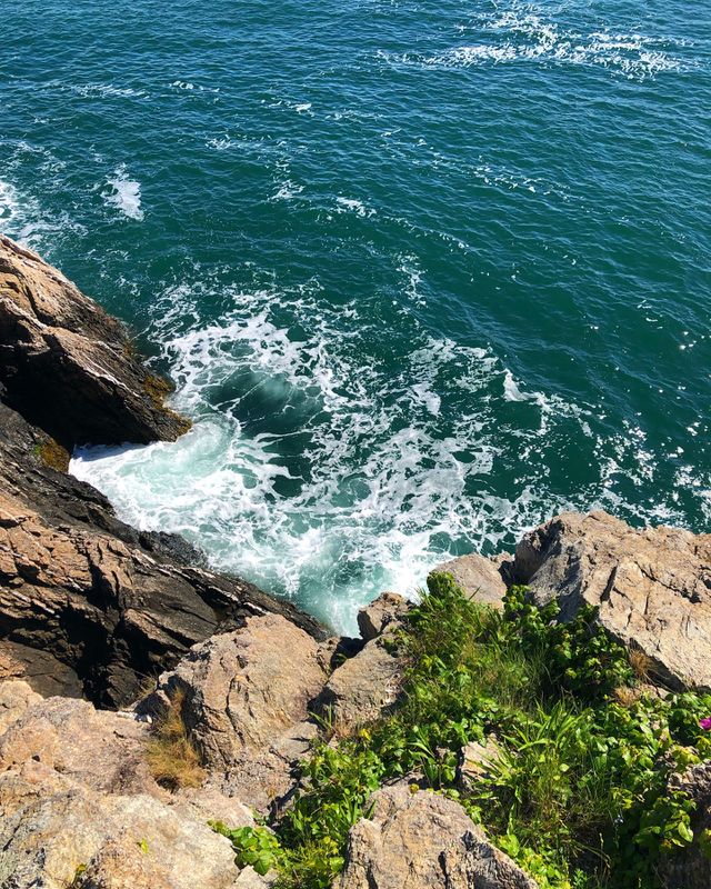 Cliff jumping is a lifestyle 😝