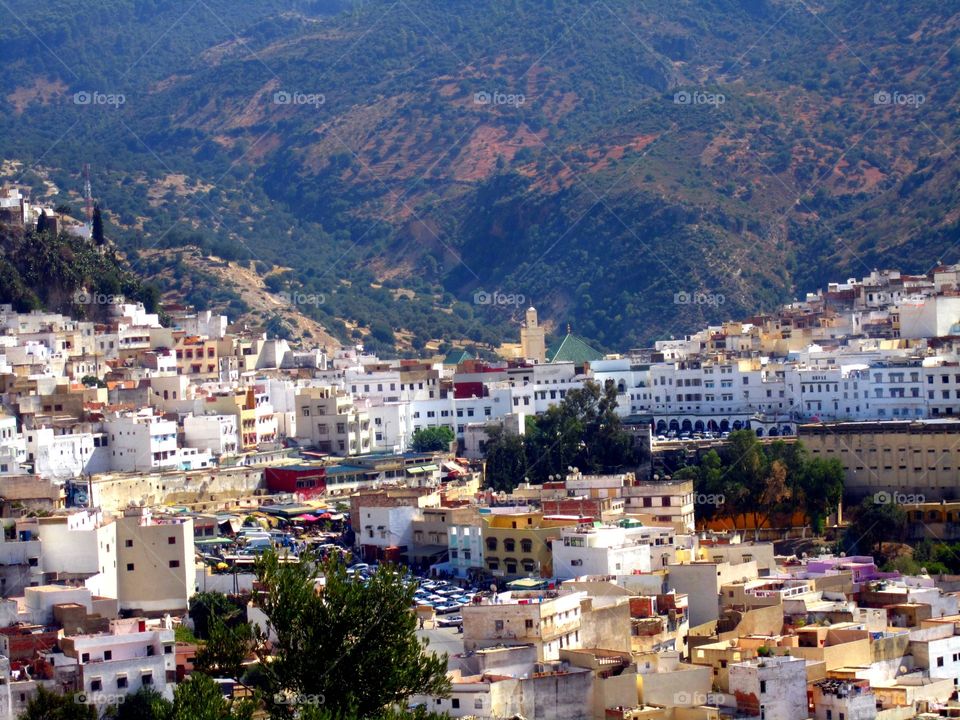 View of buildings and houses