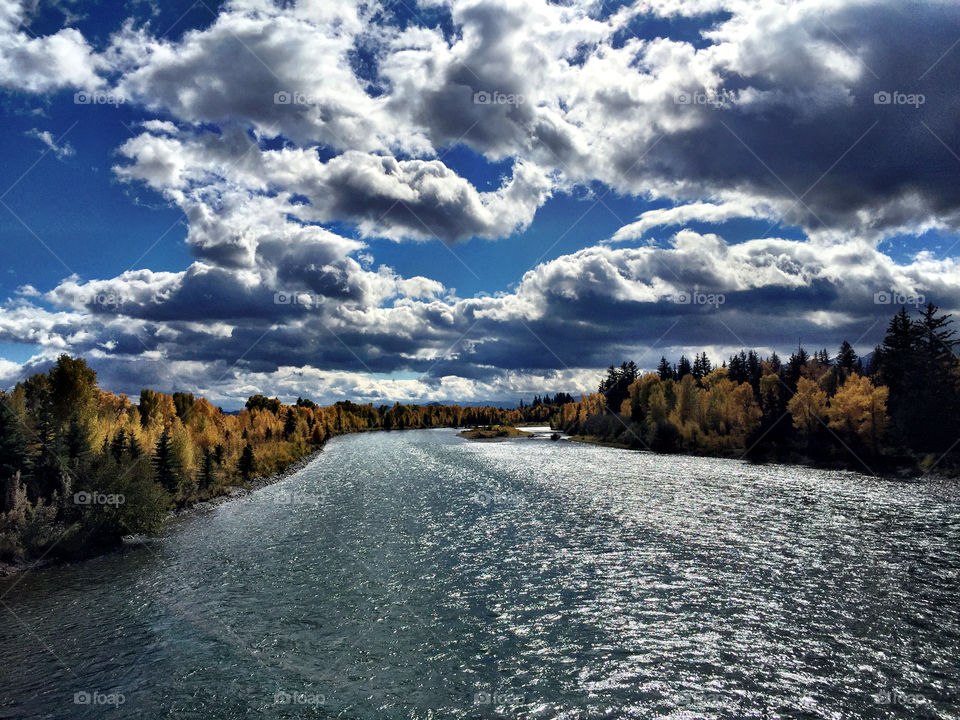 Scenics view of snake river