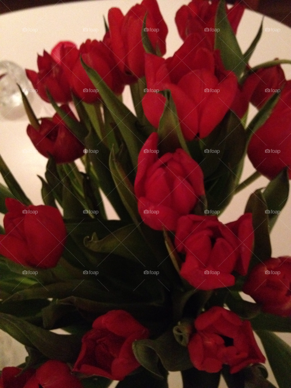 tulipans flowers. red interflora by liselott