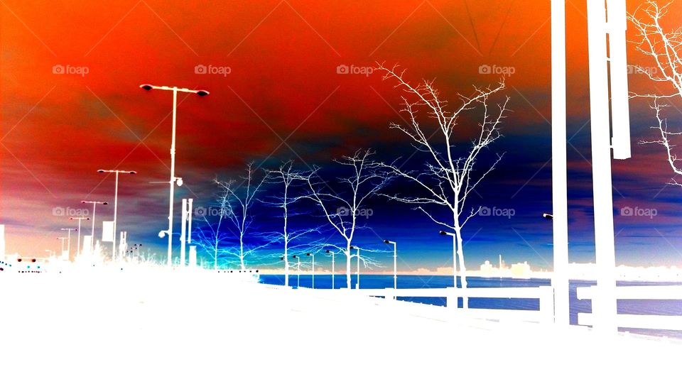 Sky color art abstract tree landscape