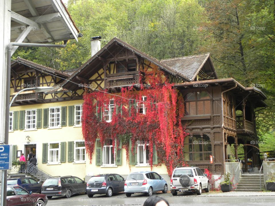 Wood haus