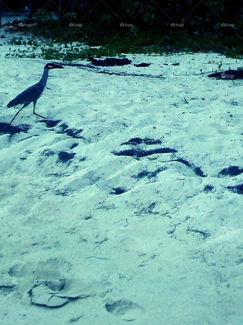 who could I give up taking pictures there is so many pictures to be taken look at this beauty