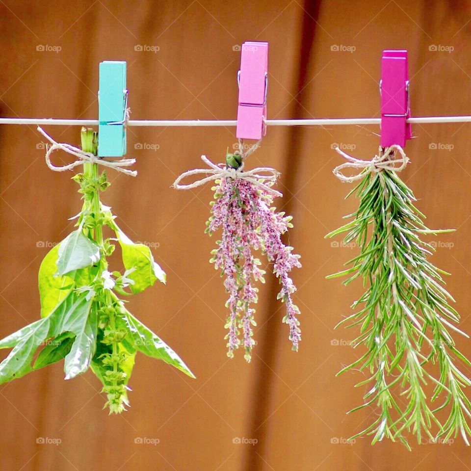 Here’s hanging and drying rosemary, basil, and lavender.