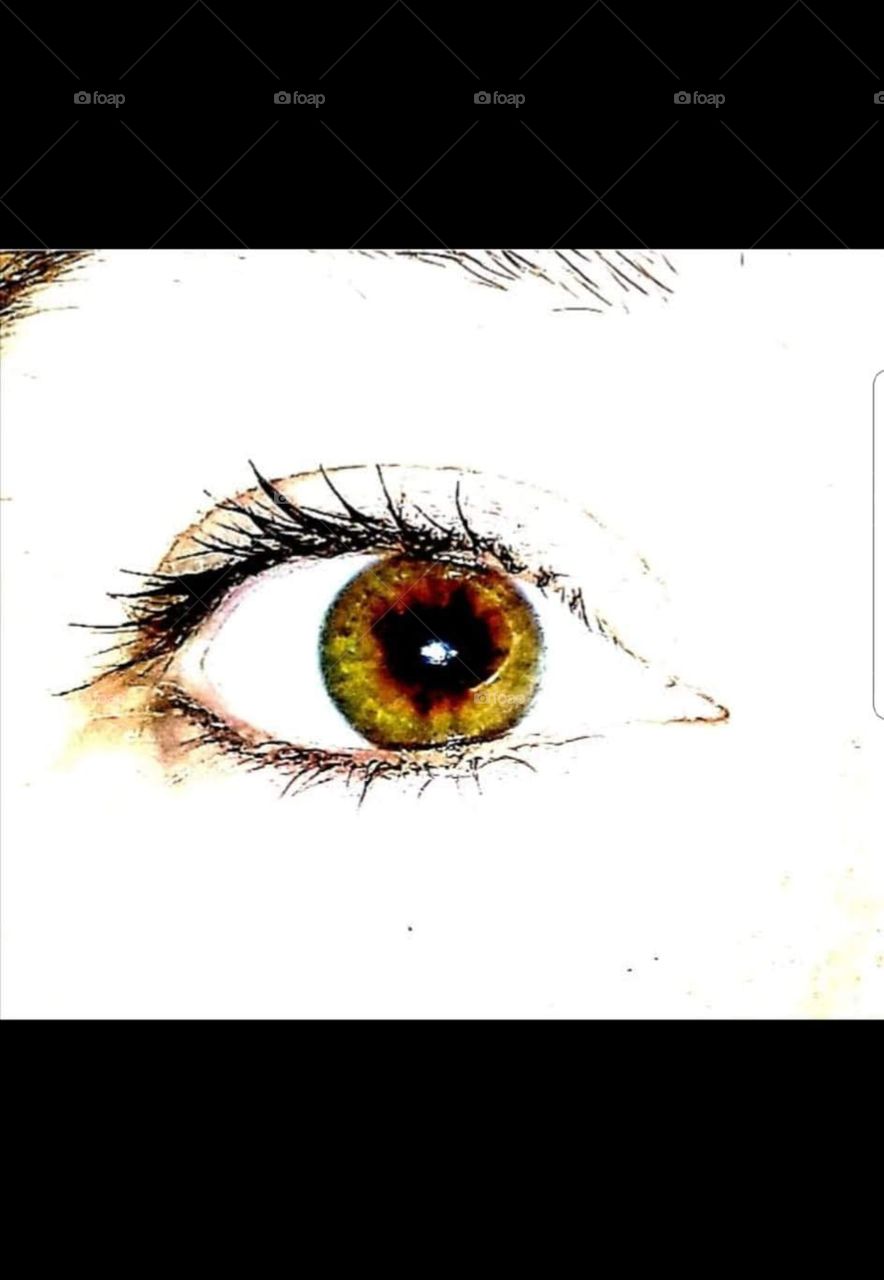 eye