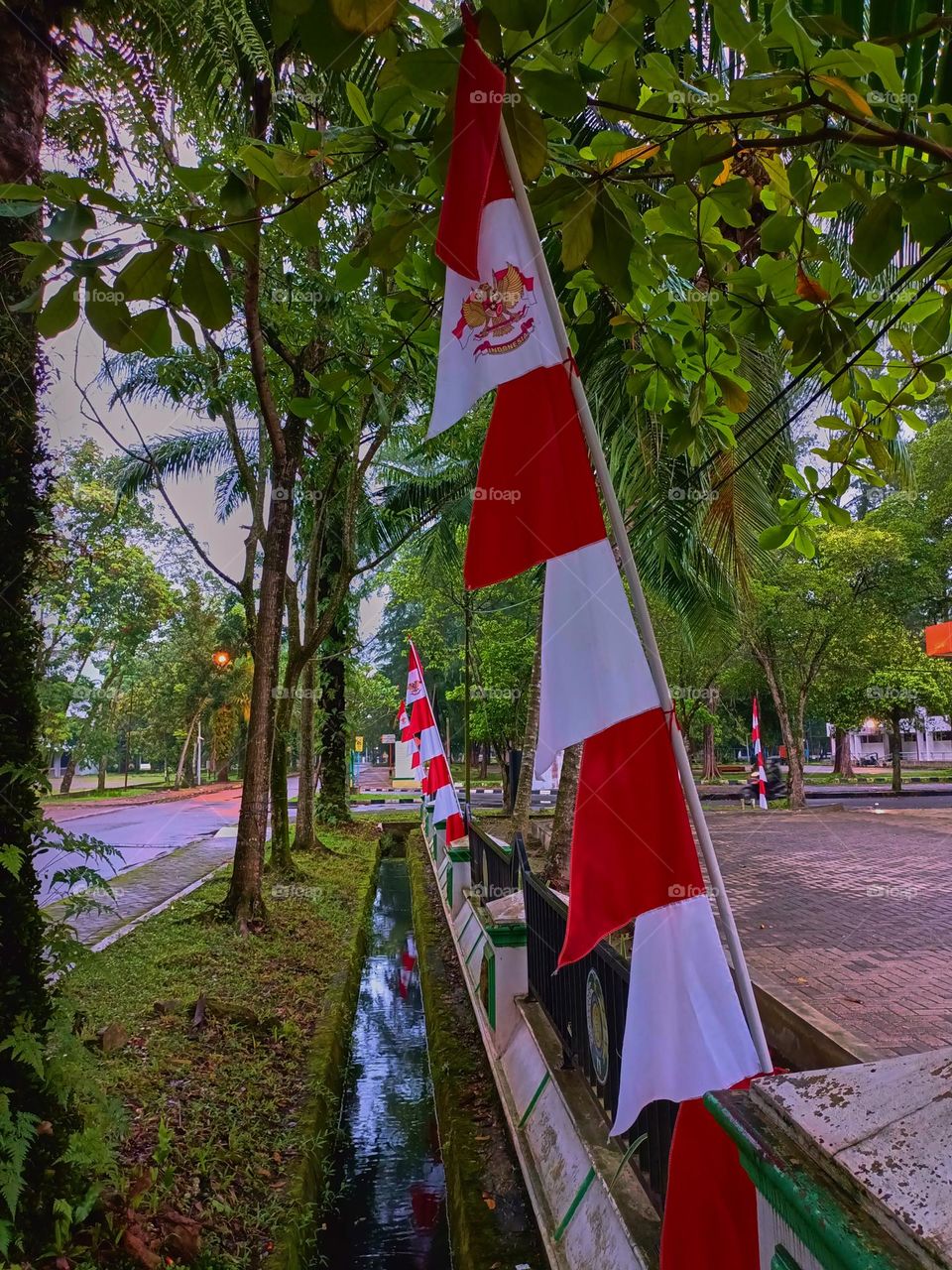 Indonesian Flag, The Red and white Flag, national symbol of Indonesia. Red and white pennant or flag on a bamboo pole used to commemorate Indonesia's independence day