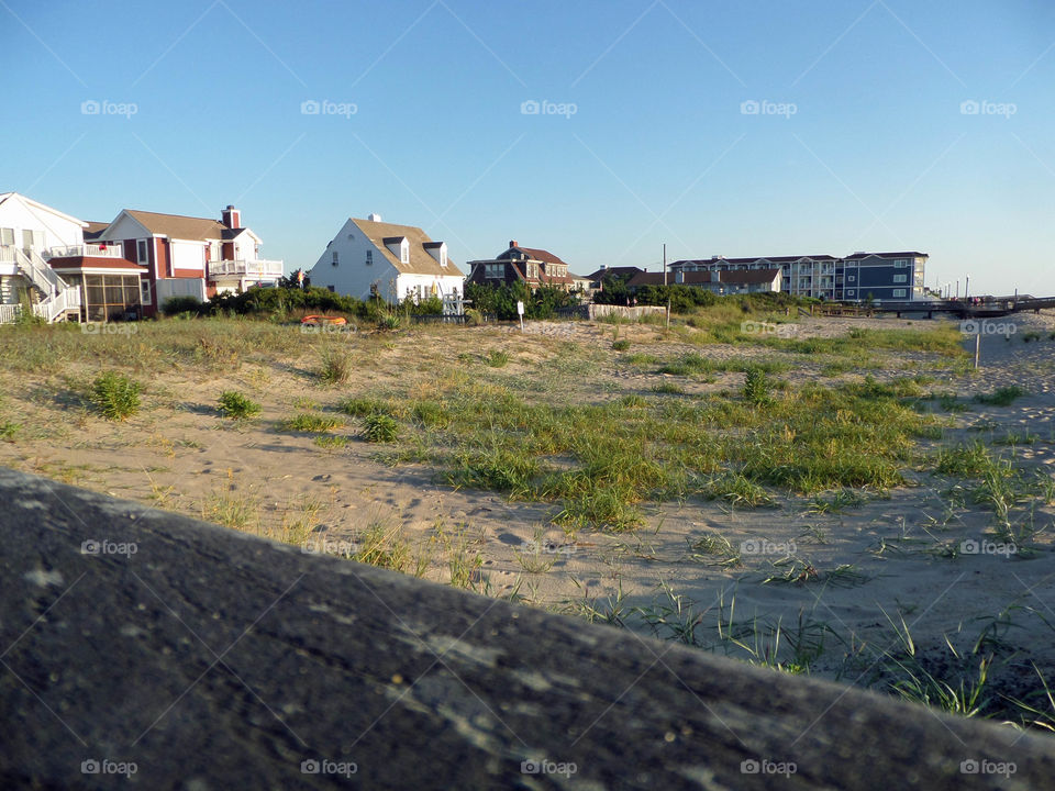 Seaside houses