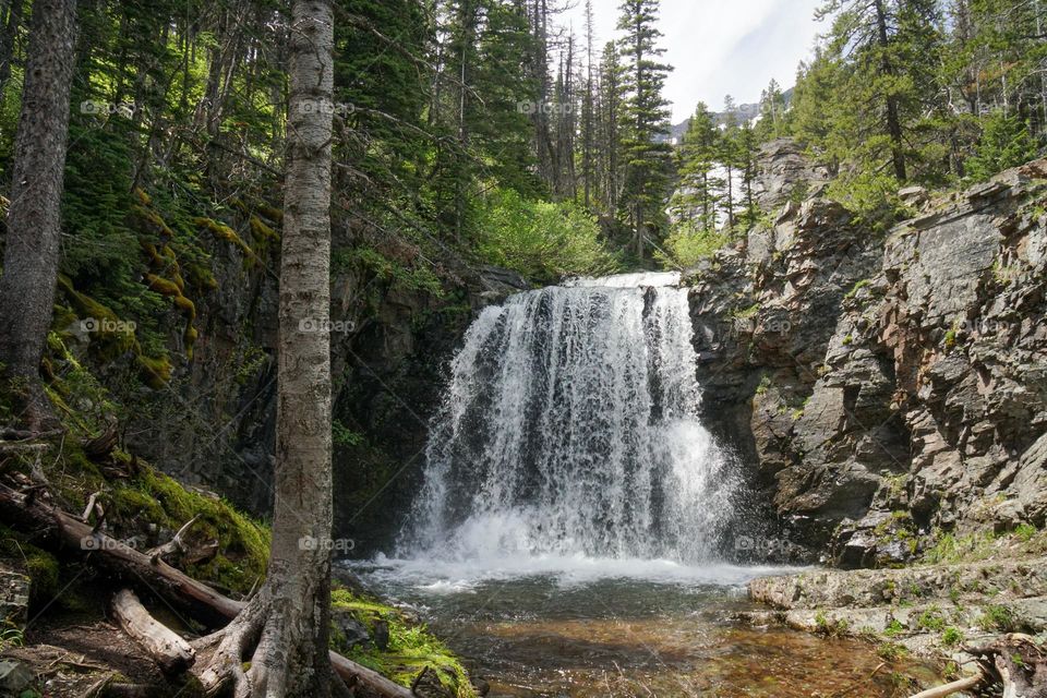 A waterfall in Montana's Glacier National Park tumbles down a mountain into a pool feeding a stream