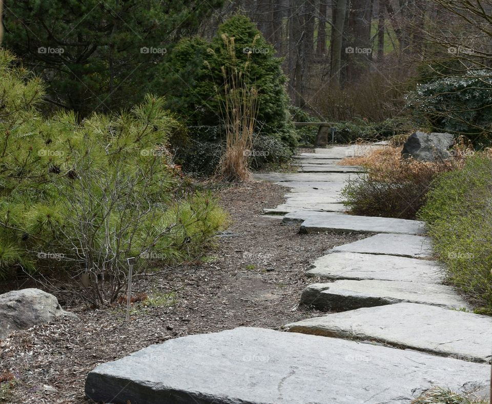 Pathway in the garden