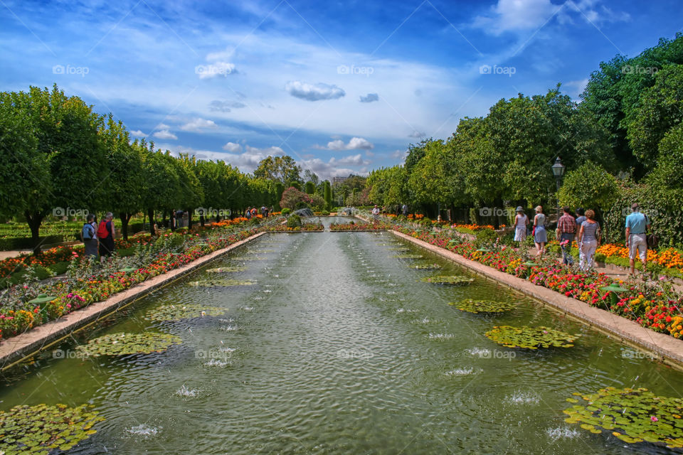 sky green flowers garden by jmiguel