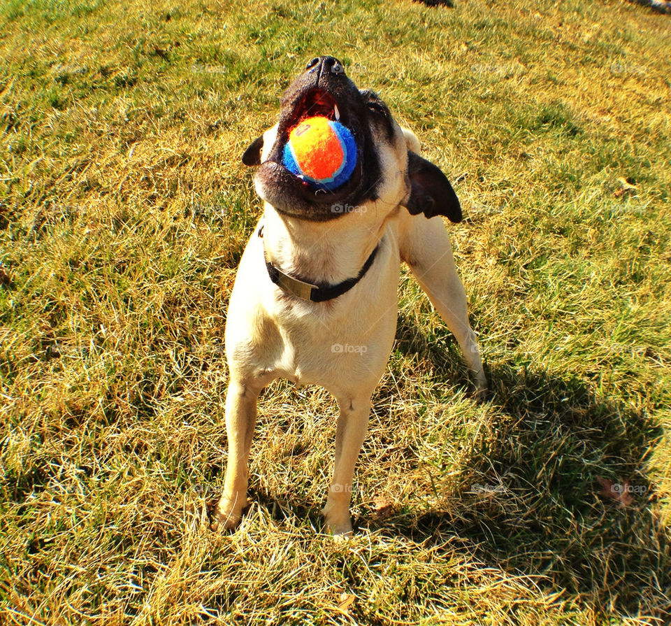  by jamie.simpson.31392