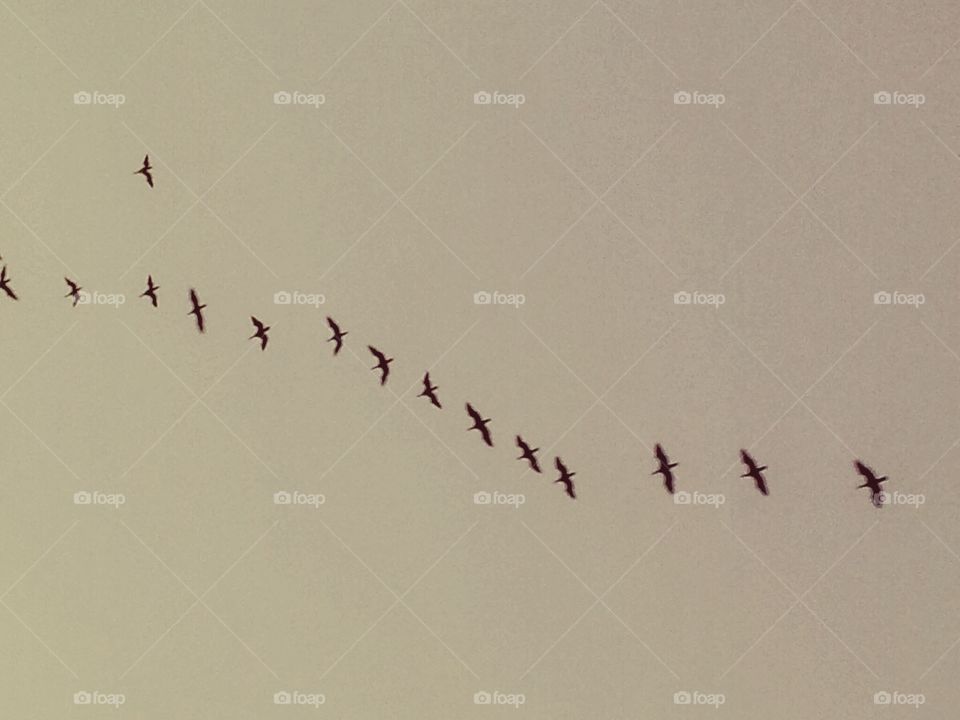 Perfect Imperfection. 