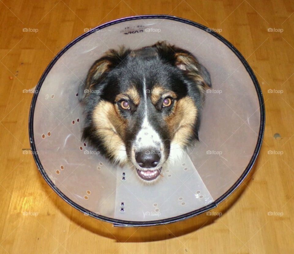 he looks like an alien.