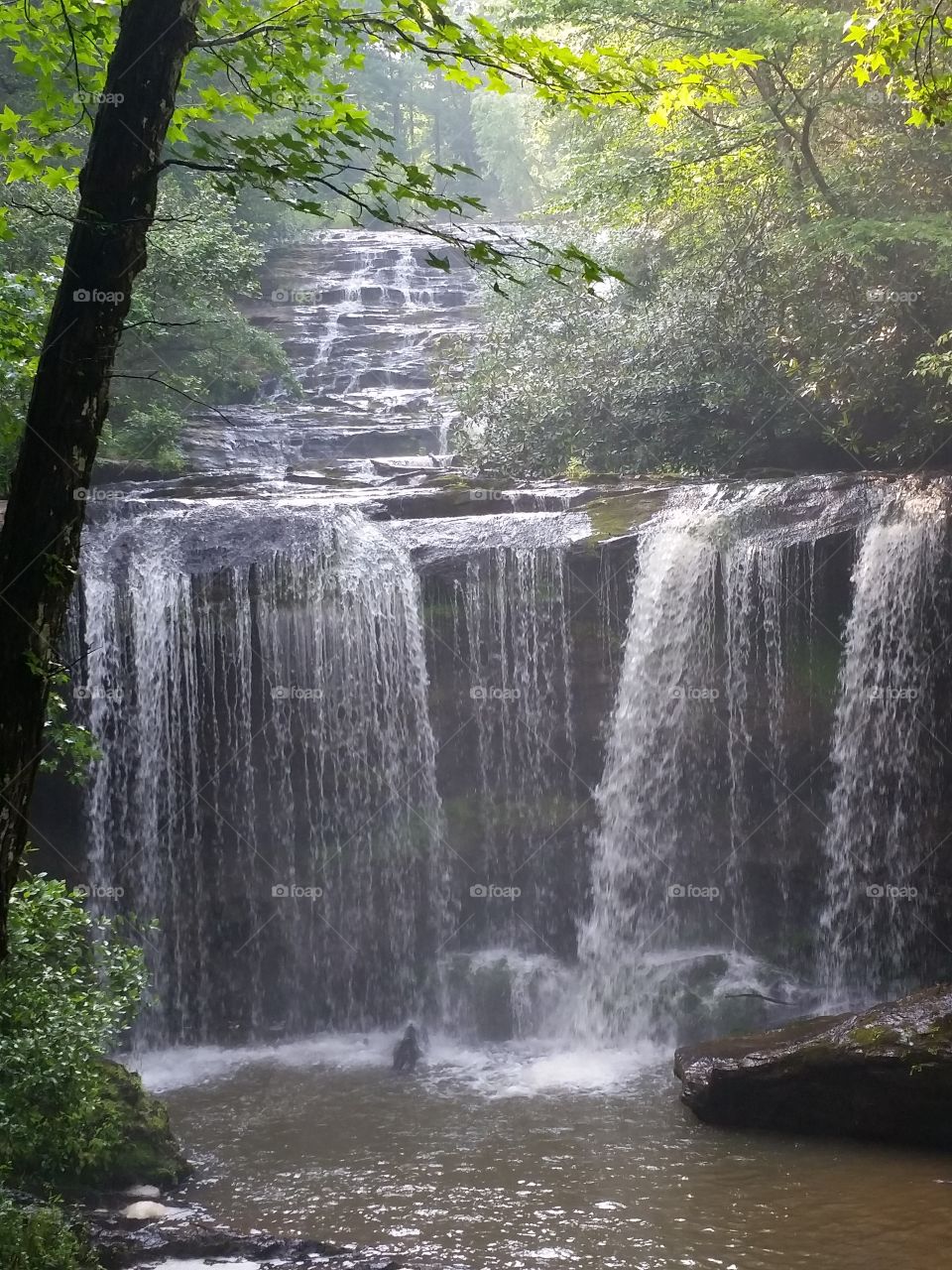 Brass town veil in South Carolina