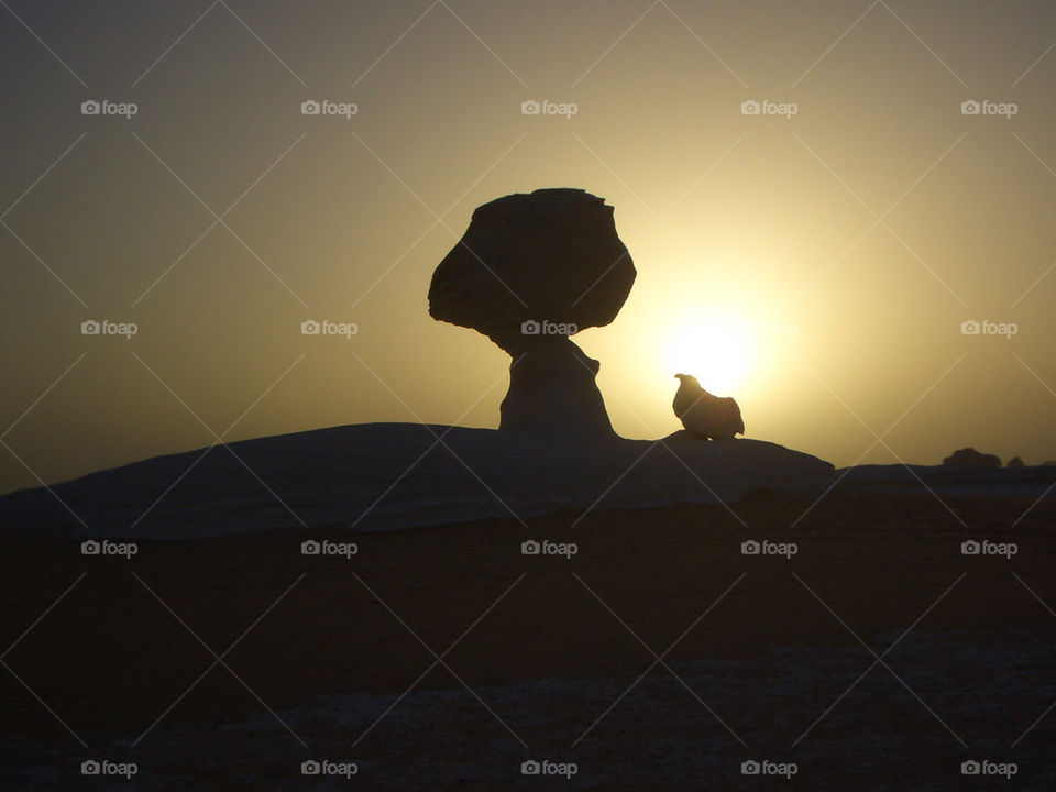 Bird and tree out of rock