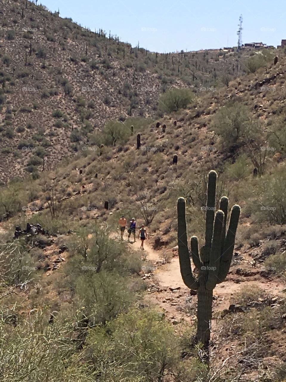 Hikers.