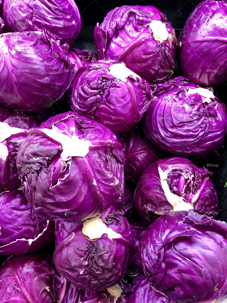 Purple cabbage close up in produce department.