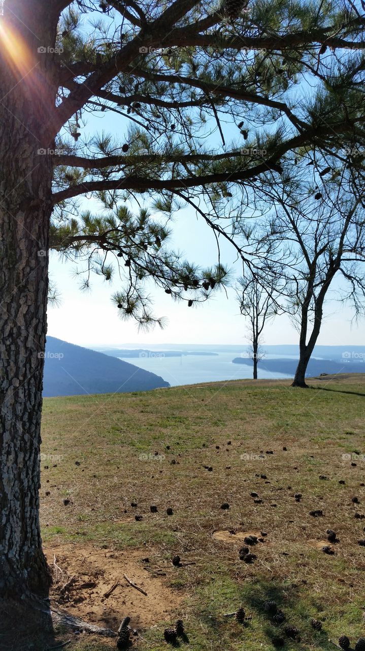 Beautiful Tennessee River