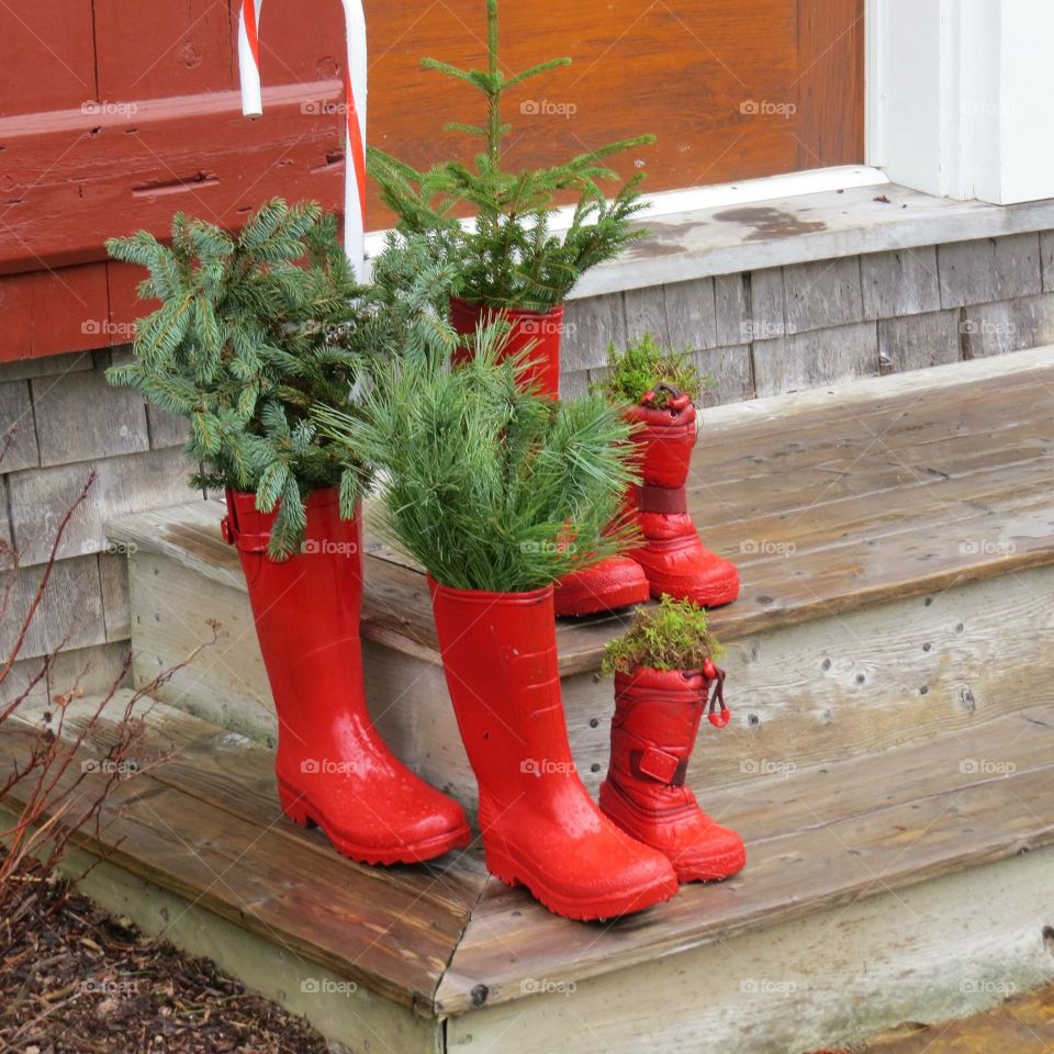 Gumboots with plants