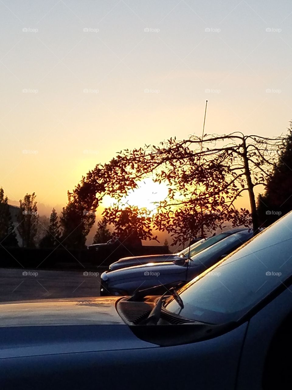 Sunrise in Washington state.