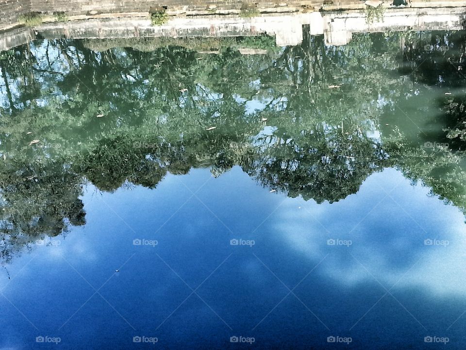 shadow. water shadow