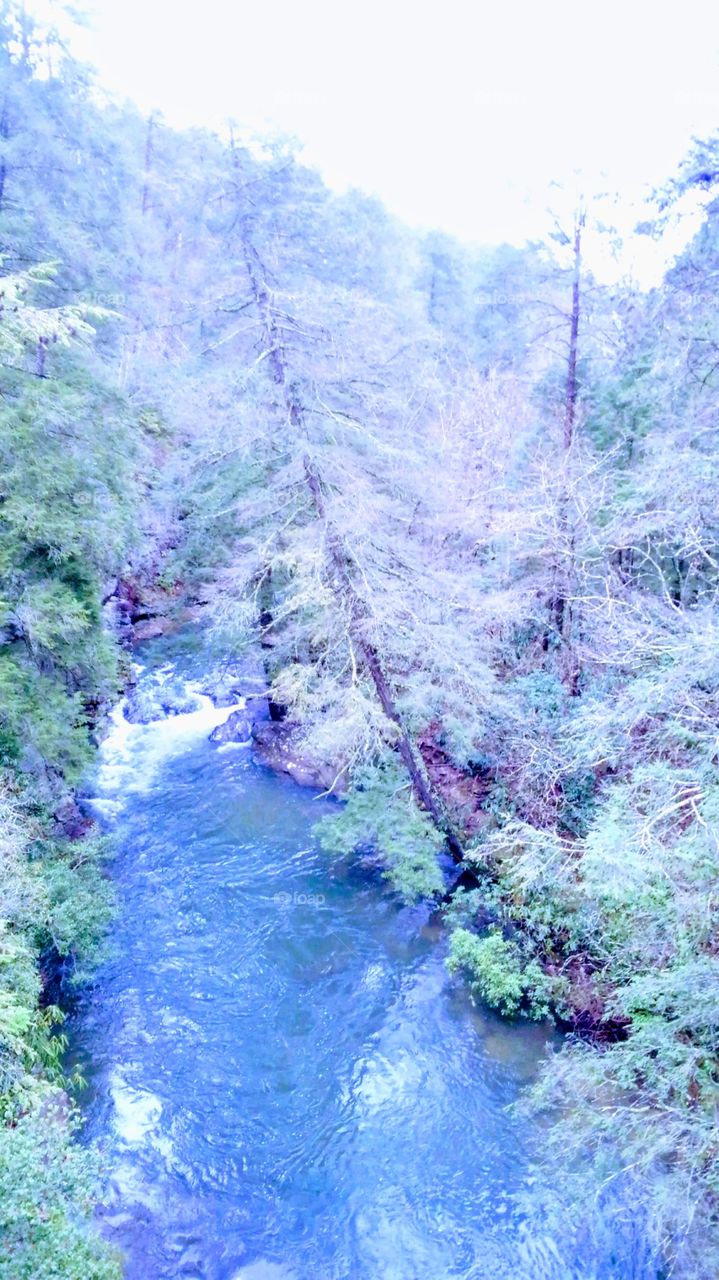 Fall Creek falls