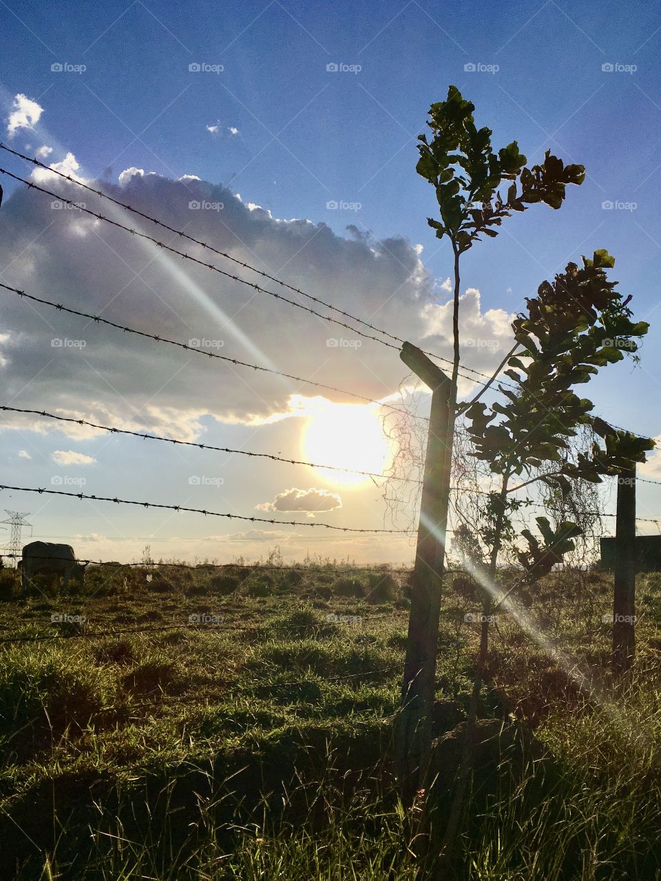 The beauty of sunset with the sun so bright in Jundiaí, inland Brazil. Cheer the nature! 
☀️ 
A beleza do entardecer com o sol tão brilhante em Jundiaí, interior do Brasil.  Viva a natureza!