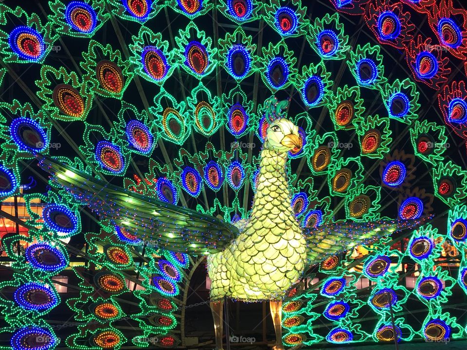 Peacock lights