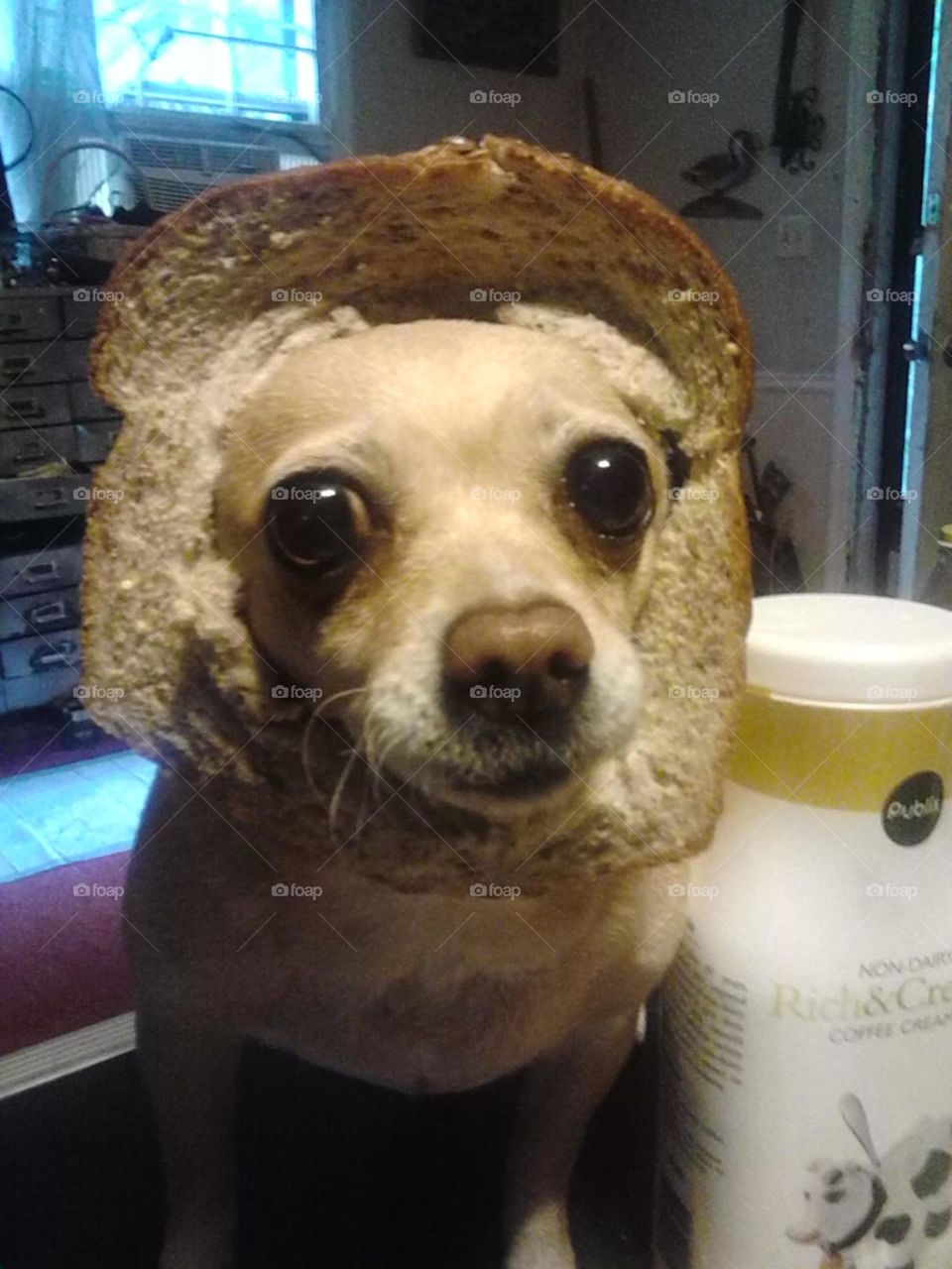 "In Bread"lol