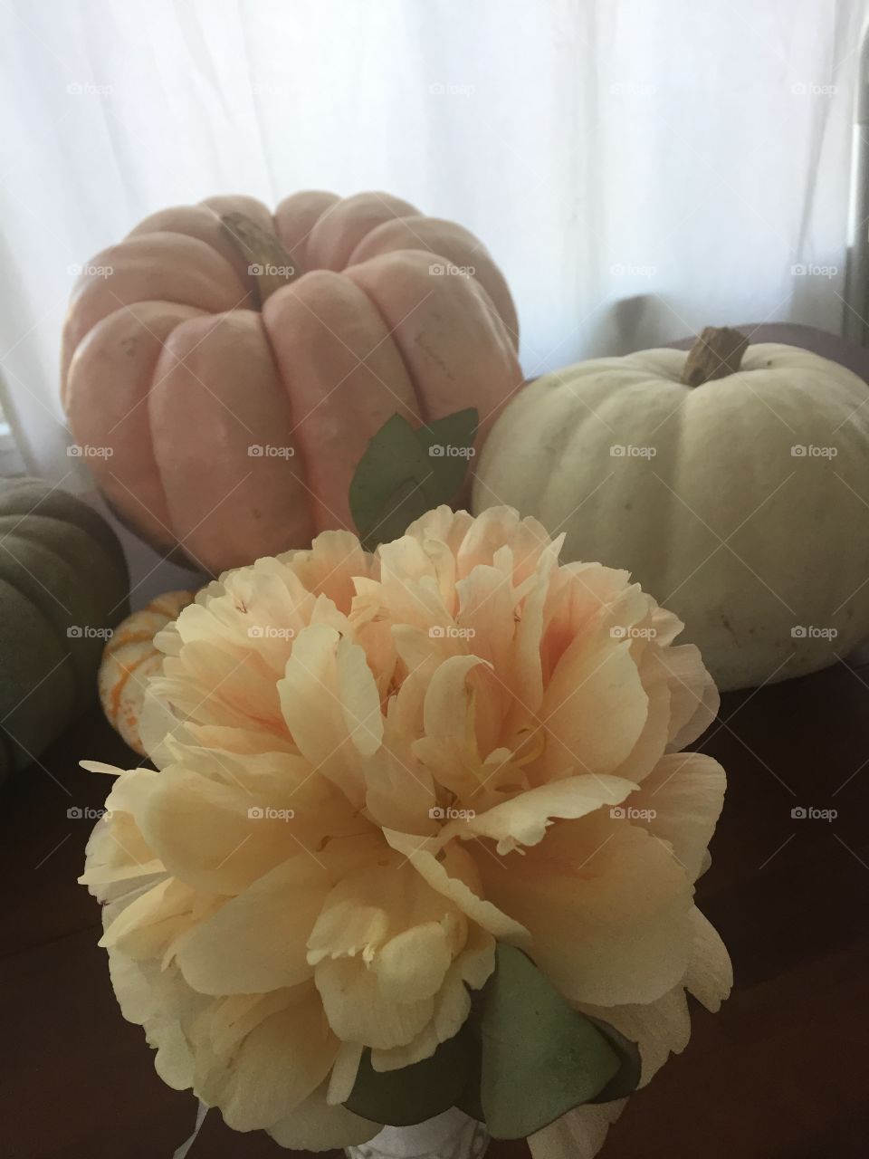 Fall pumpkin colors
