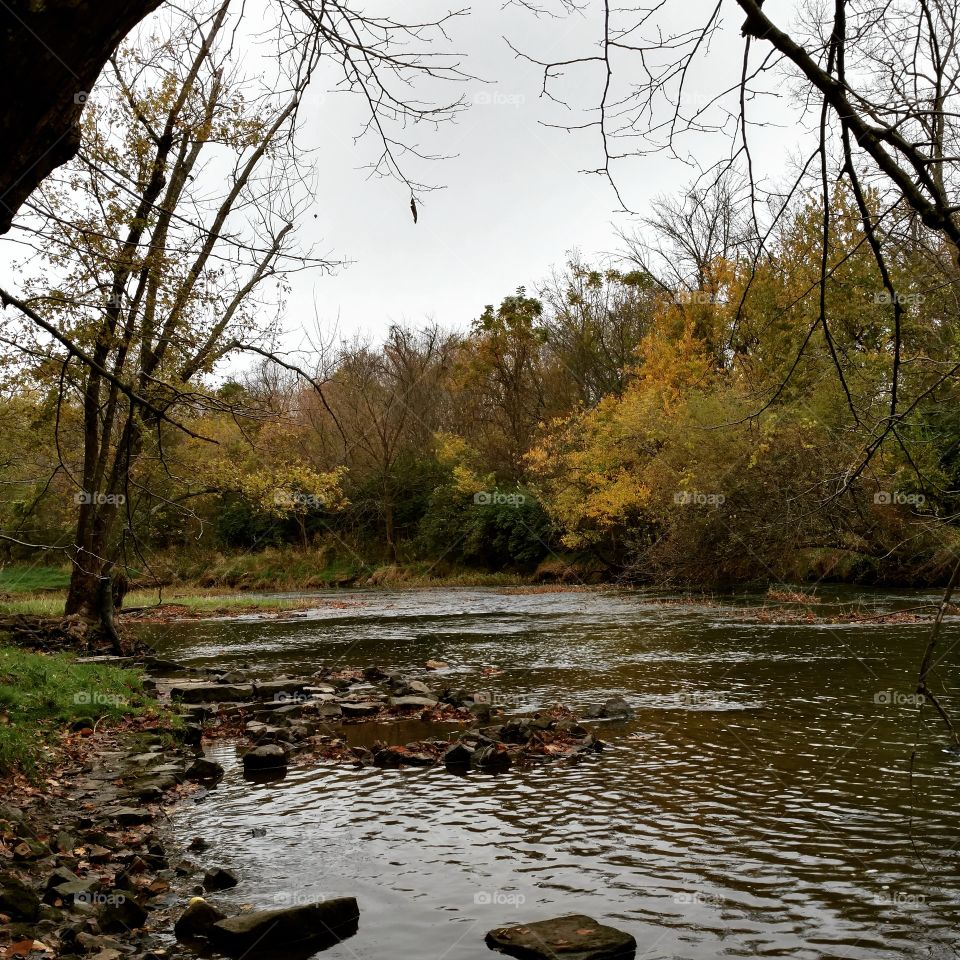 fall lined creek