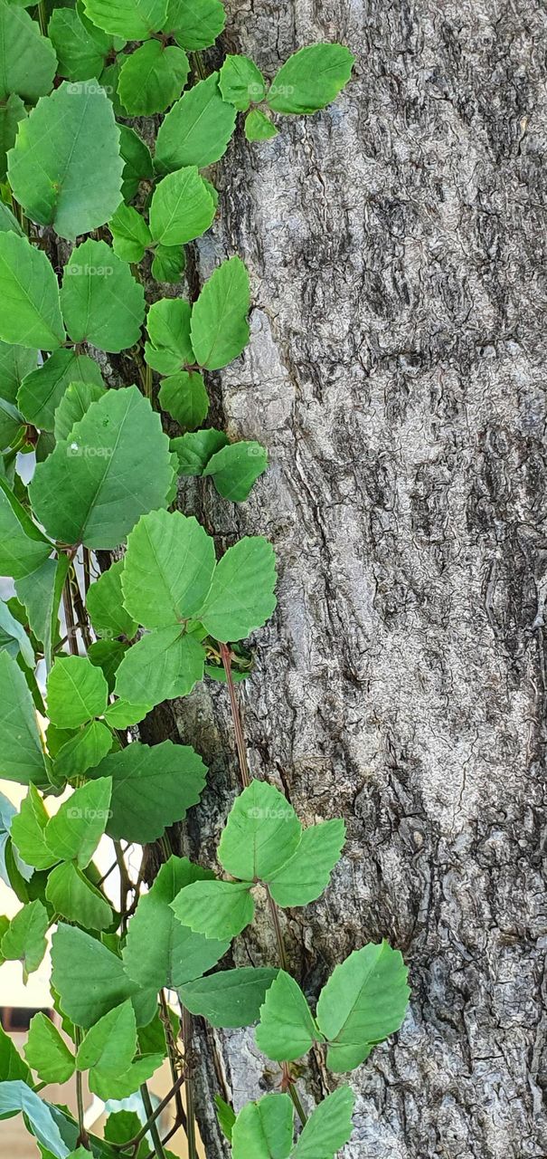 Editors'Choice : Photo of the week