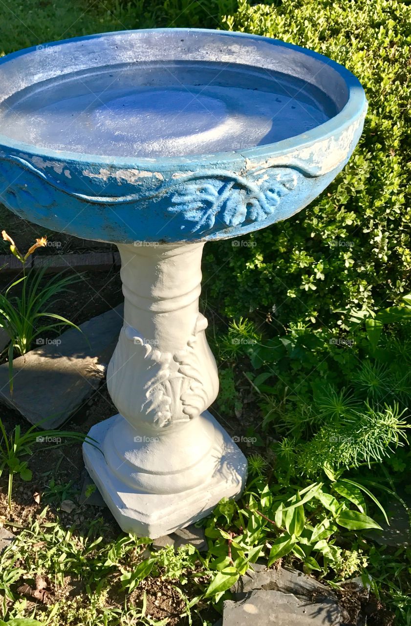 Old Bird Bath