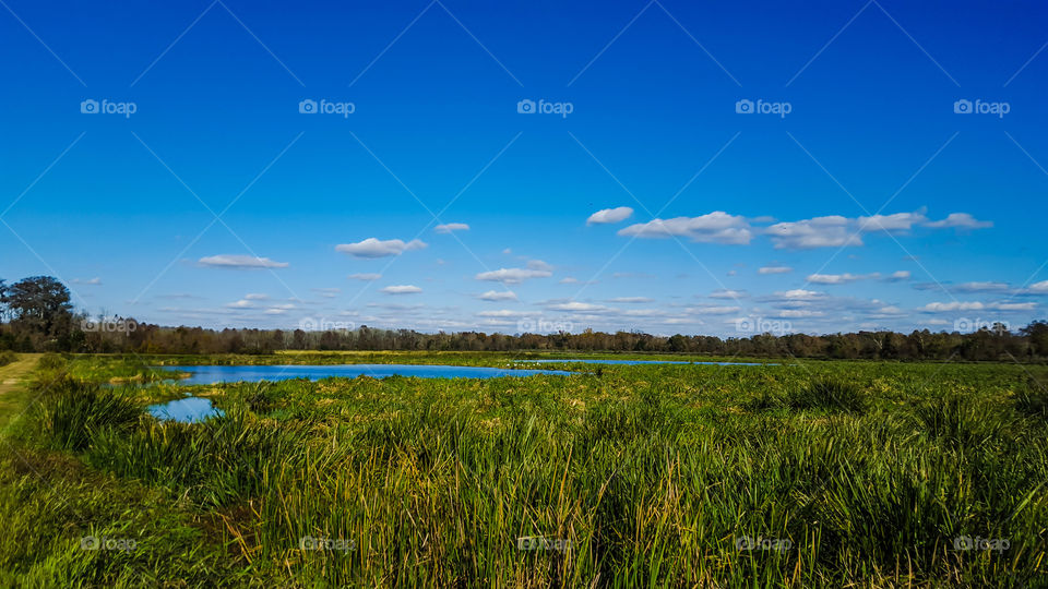 No Person, Landscape, Sky, Nature, Grass