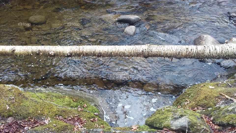 Stream in Montville, Maine