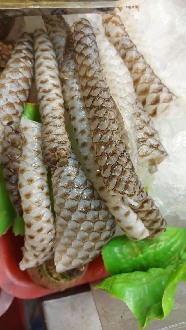 fish skin