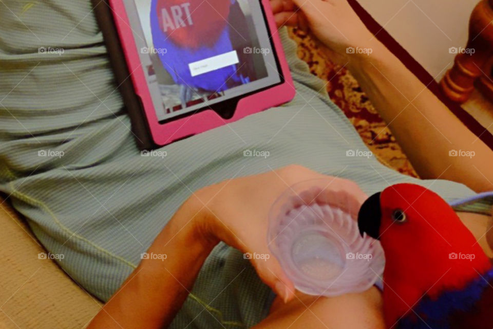 Sadie the lovely Red Parrot sharing the couch with Mom for some rest and recreation.