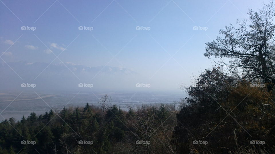 Landscape, Tree, Fog, Nature, Sky