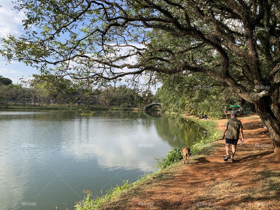 Lake in Ibirapuera park, São Paulo 