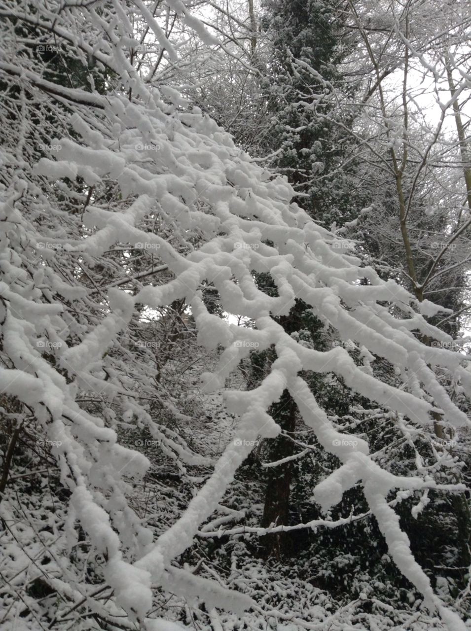 snow winter wales by Medusapunk