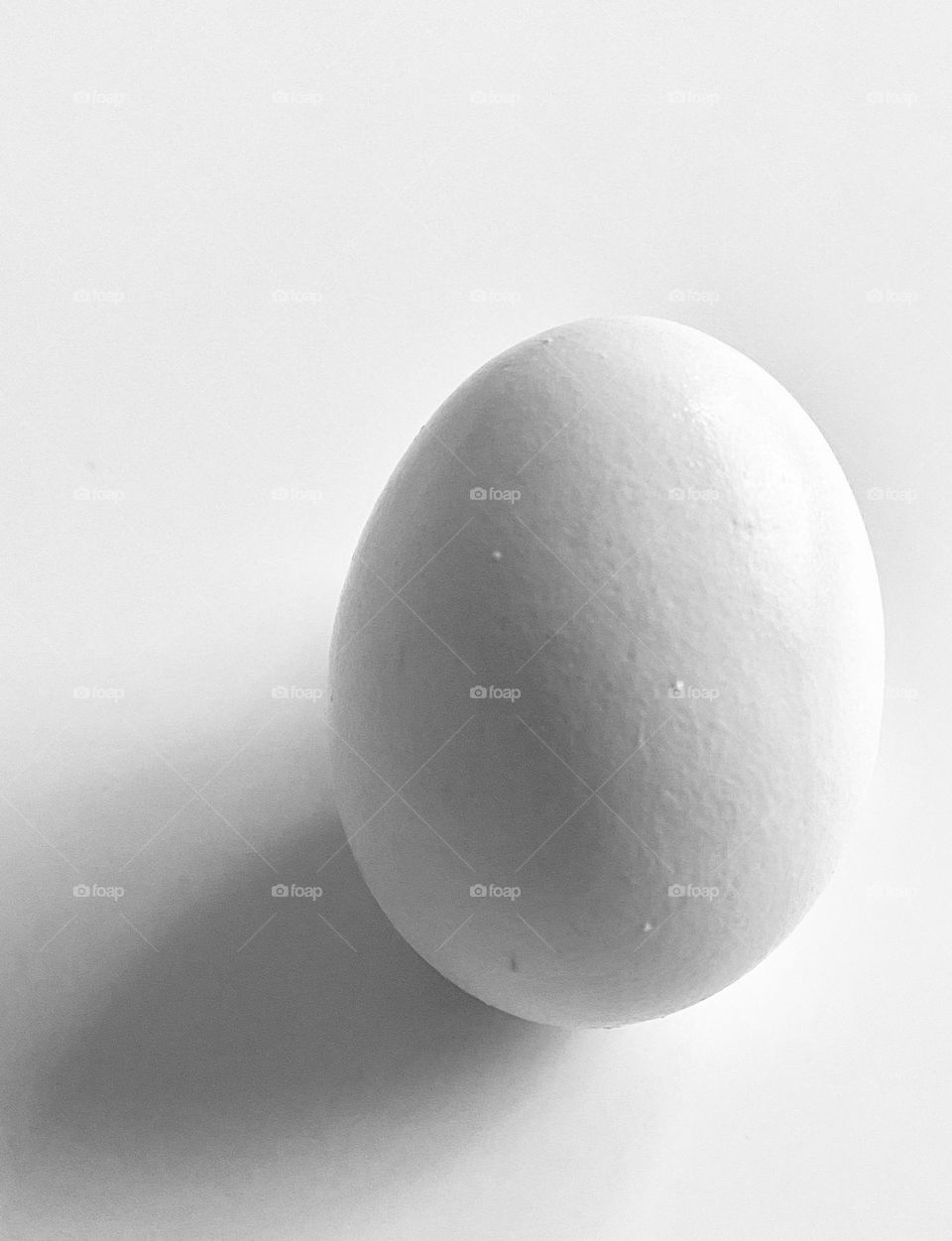 Minimalism, single white egg on white background with natural light 