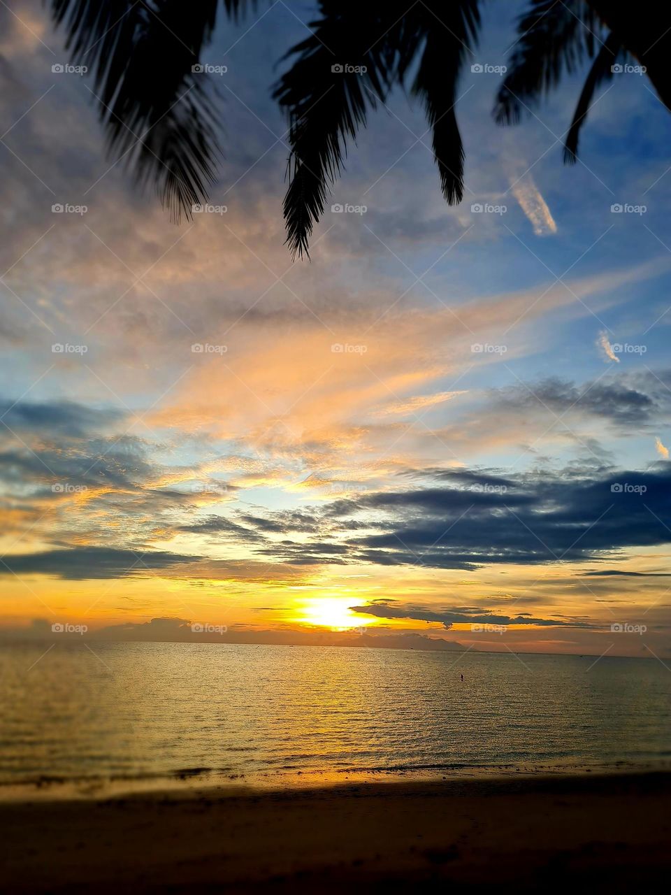 Life is beautiful if we just take the time to pause.