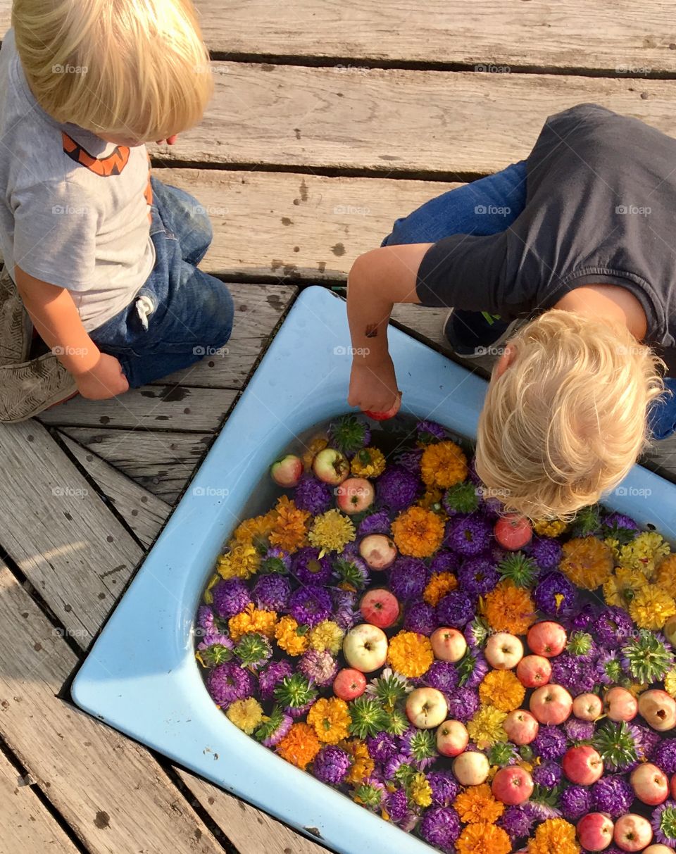 Kids playing with tub filled of apples and flowers, from above
