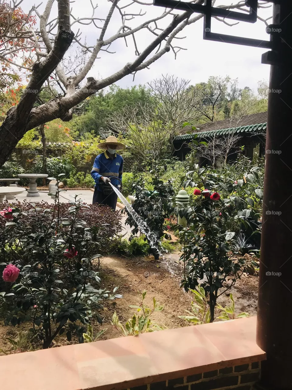Garden guards🪴