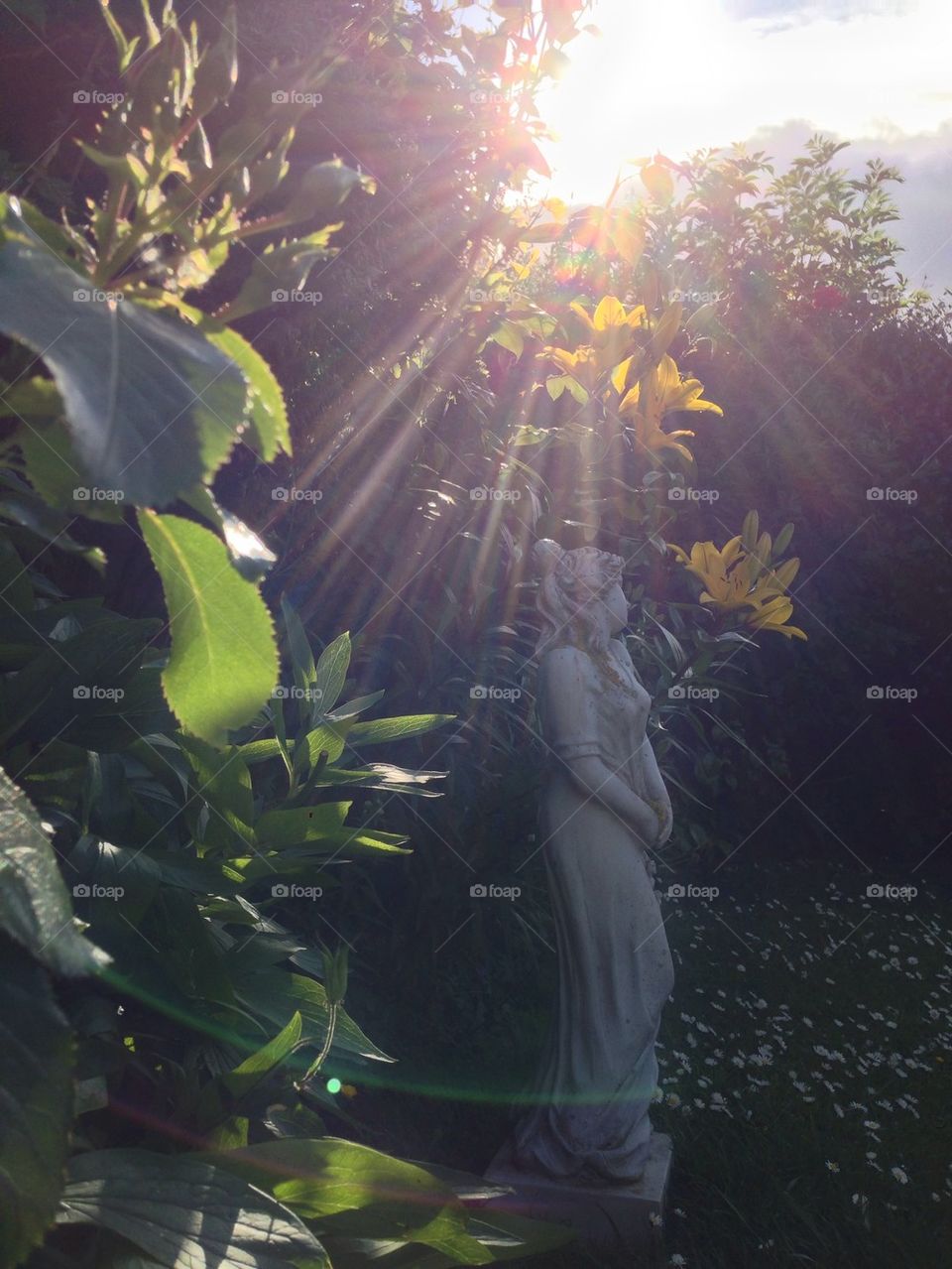 Hazy Lazy Summer Days