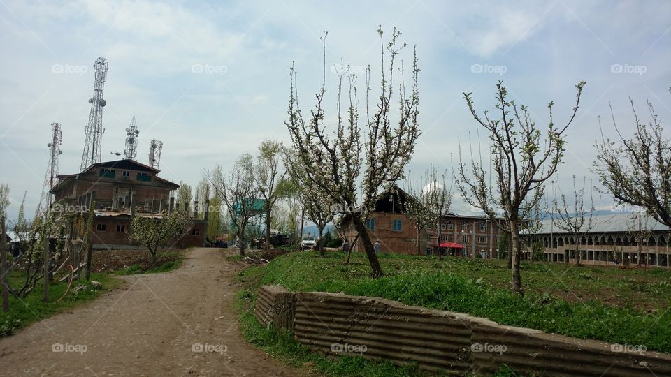 Building, House, Landscape, Tree, No Person