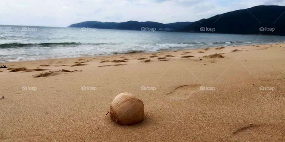 Serene and beautiful beach with a coconut in the foreground - celebrating Christmas in a warm and calm place in the tropics 